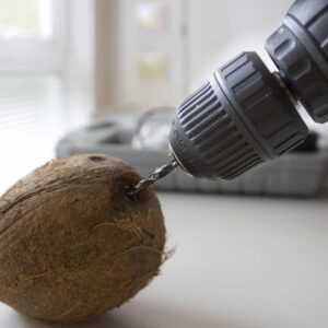 drilling a coconut