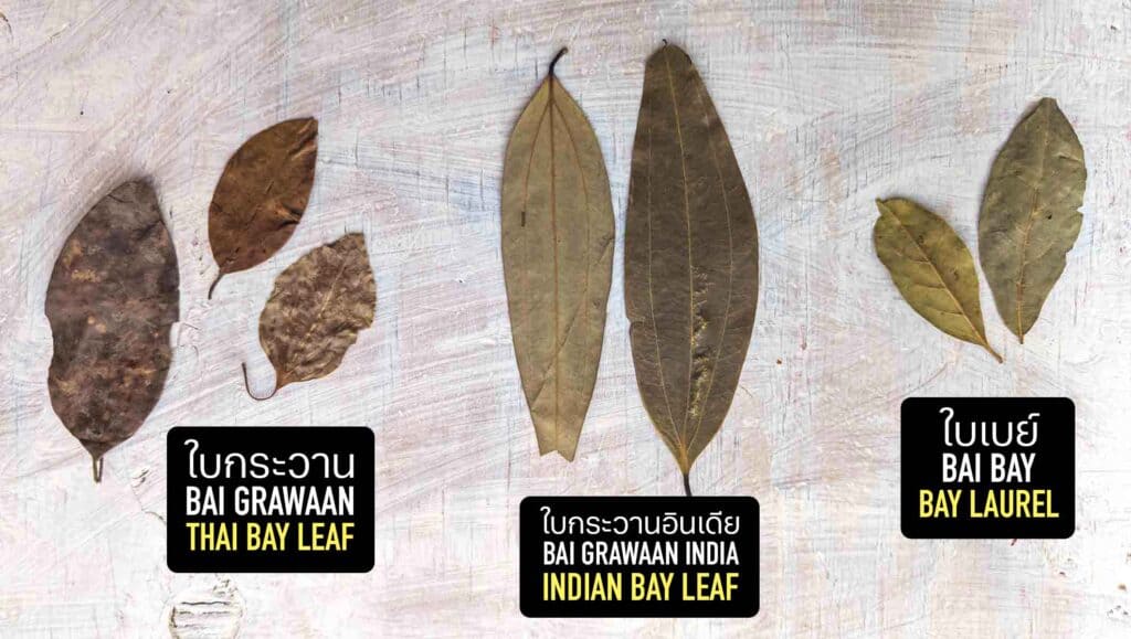 bay-leaf-magical-properties-aromag-s-botanica